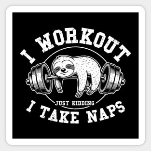 I Work Out, Just Kidding, I Take Naps Sticker